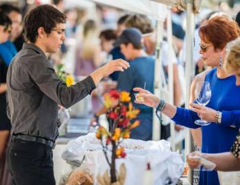 2025 harvest food & wine festival